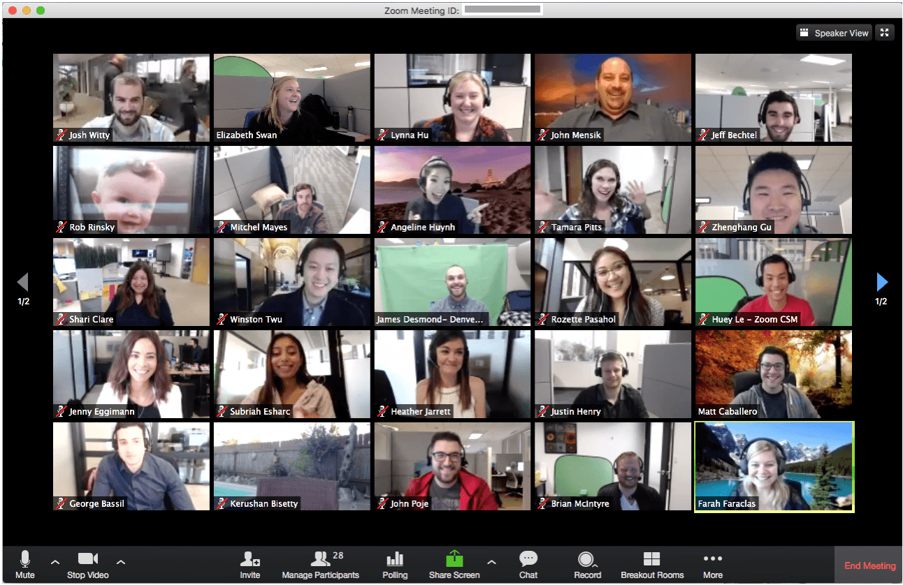 Zoom video call with the property transaction team